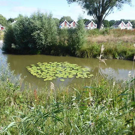 דירה Vechteschober - *